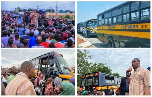 Fuel subsidy: Zulum releases 80 buses, pick-up vans to farmers