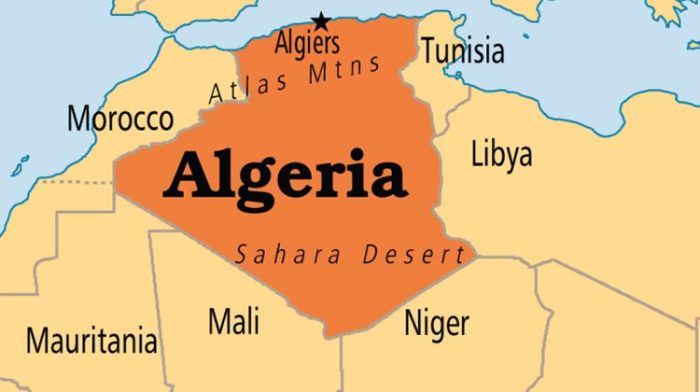 Algeria proposes 6-month Niger transition plan