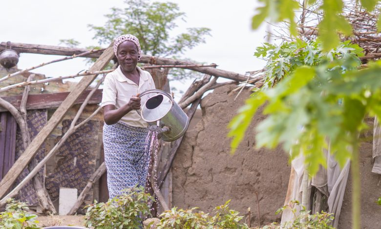 More than 55,000 farmers and herders Benefit from USAID’s Water for Agriculture Activity in N'East
