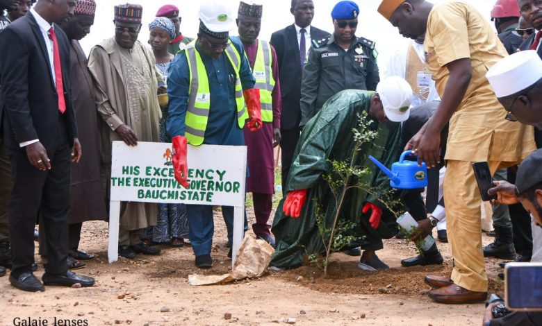 Bauchi governor launches tree planting campaign, declares war on charcoal business
