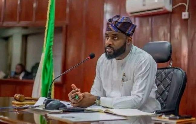 36-year-old Oyo lawmaker emerges chairman of Nigeria Conference of Speakers