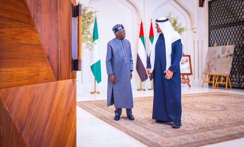 Tinubu lists 5 agreements reached between Nigeria and UAE