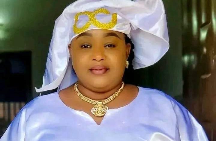 Tinubu appoints new CEO of National Social Investment Programmes Agency