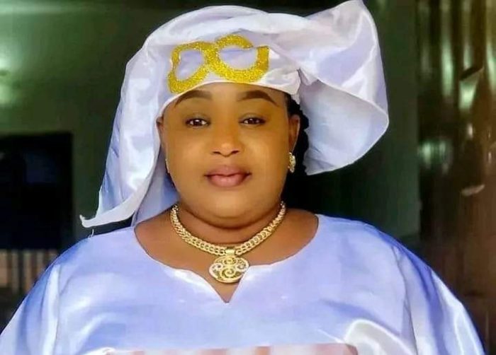 Tinubu appoints new CEO of National Social Investment Programmes Agency