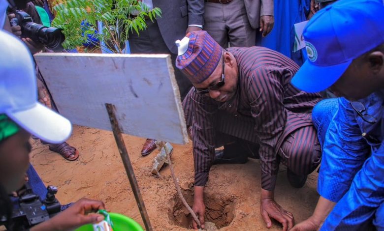 Desertification: Zulum flags off planting of 1.2m trees in Borno