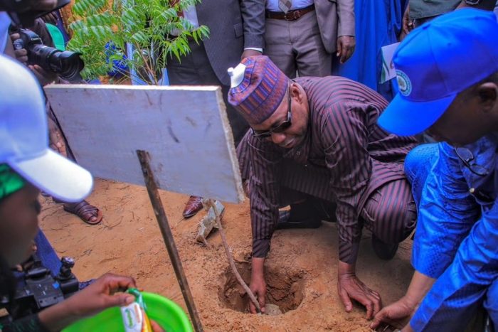 Desertification: Zulum flags off planting of 1.2m trees in Borno