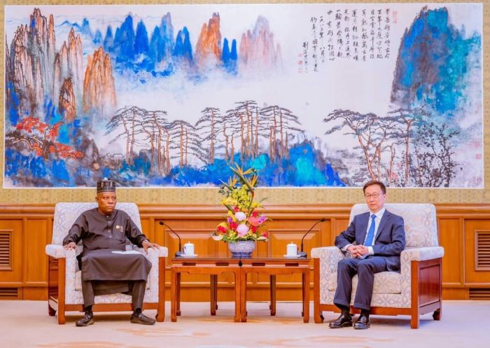China's VP Han Zheng hosts Shettima in Beijing