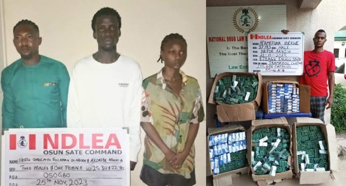 NDLEA raids Osun illicit drug party, arrests organisers