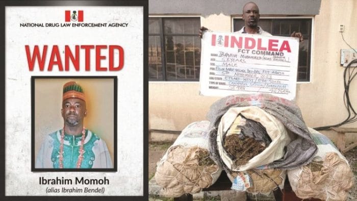 NDLEA arrests Abuja drug kingpin seven years after escape from prison