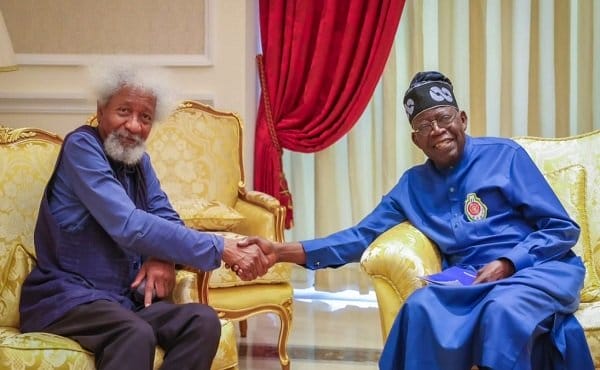 What I discussed during my visit to Tinubu, by Soyinka