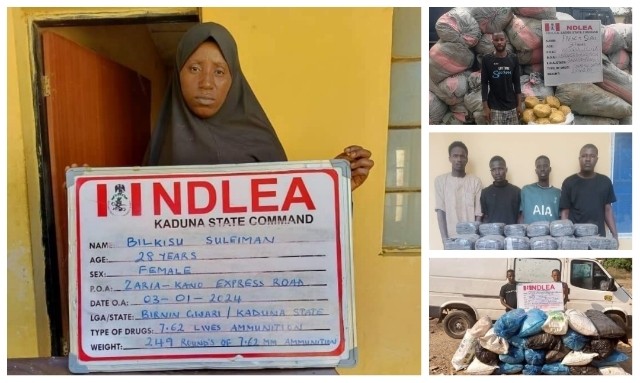 NDLEA arrests female bandits supplier with cache of ammunition, 11 others over illicit drugs