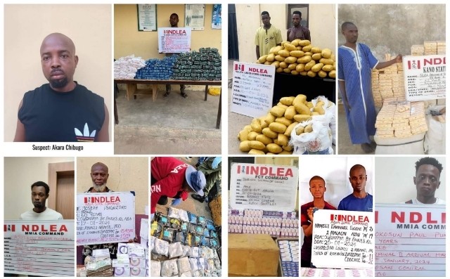 NDLEA intercepts 5.6m opioid pills in Kano, Cocaine and Colorado in Lagos