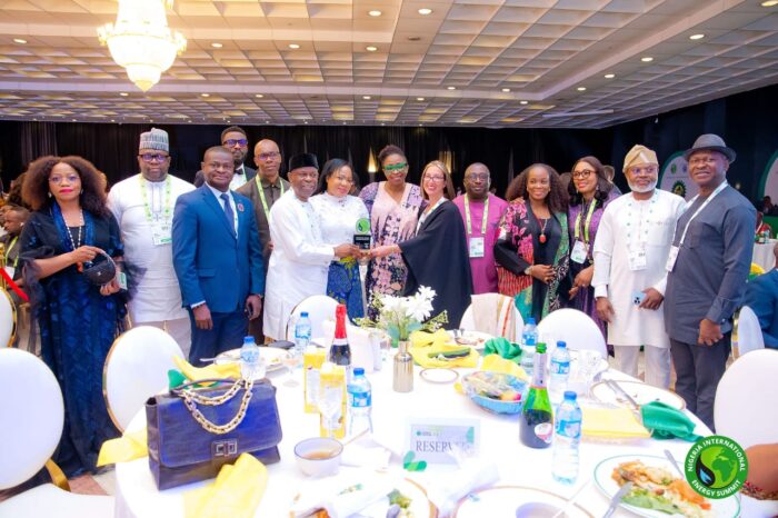 Chevron Nigeria wins award at NIES