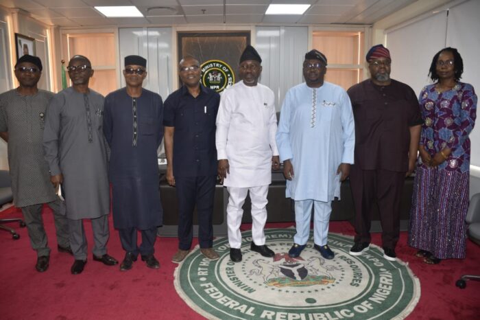 FG sets up inter-ministerial committee to address low gas supply challenges