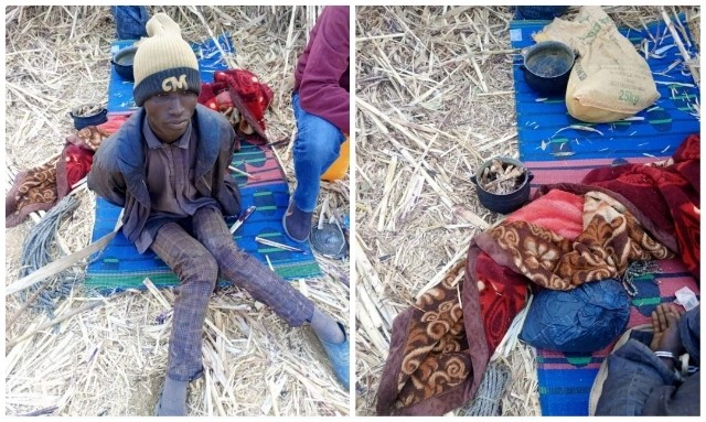 Kano police arrest Birnin Gwari-based bandit, recover 55 cows, 6 sheep